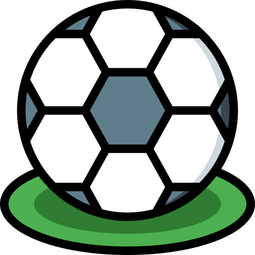 Fotbal